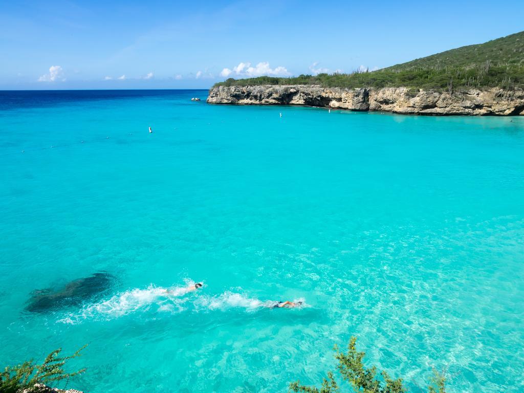 Dormio Bonaire Village Rom bilde