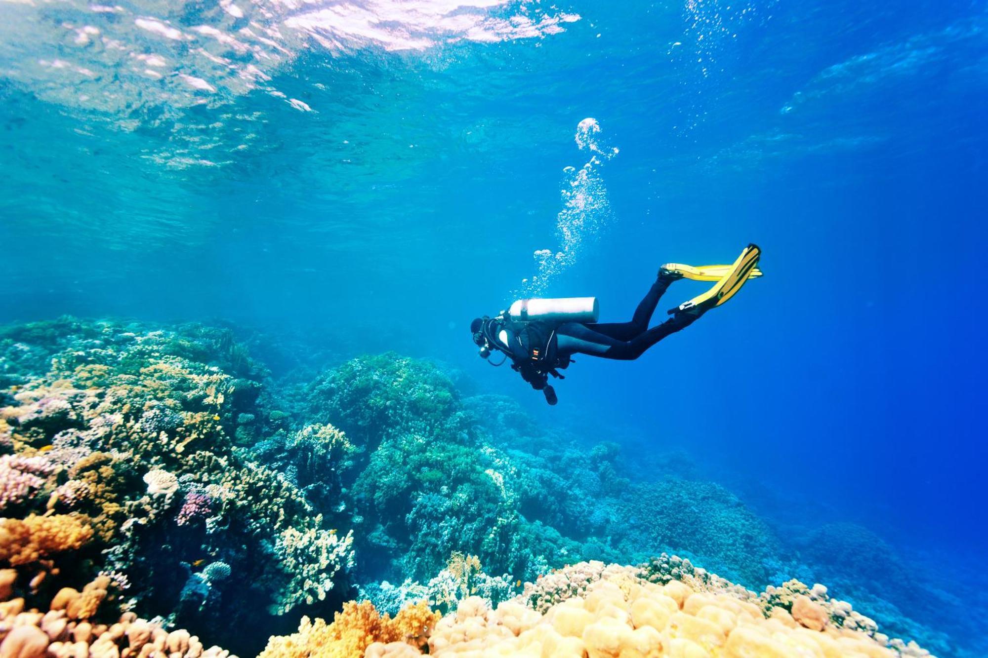 Dormio Bonaire Village Eksteriør bilde