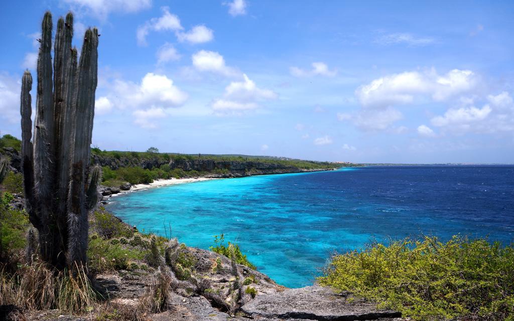 Dormio Bonaire Village Rom bilde